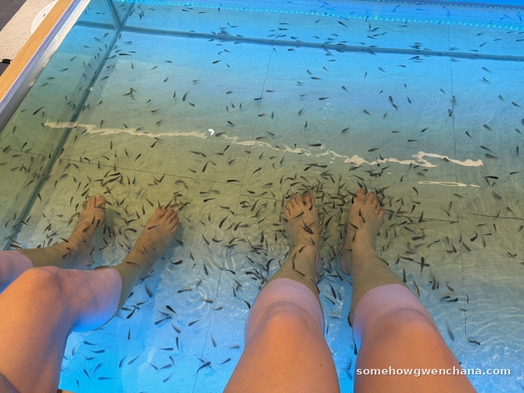 Doctor fish pool in the Centum Spa Land jjimjilbang area